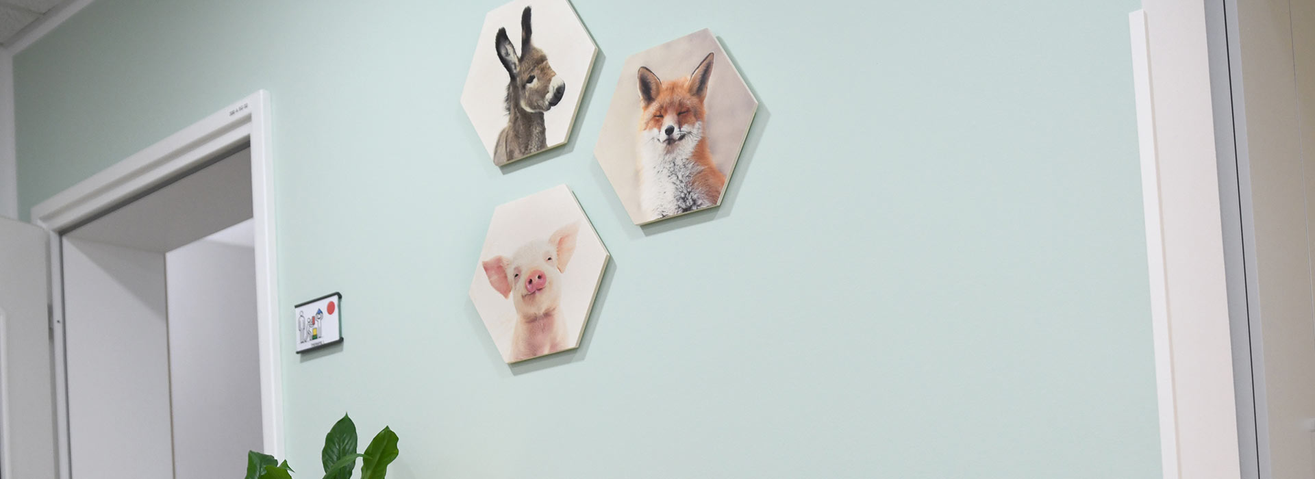 Drei Bilder mit Tiermotiven hängen an der Wand im Eingangsbereich