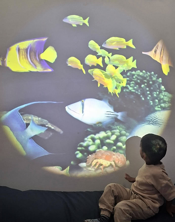 Sitzendes Kind schaut sich bunte Fischprojektionen an der Wand an